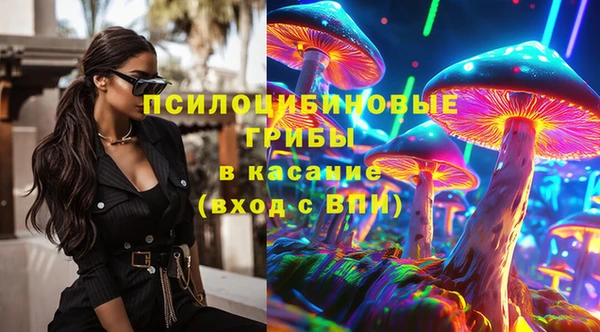 стафф Аркадак