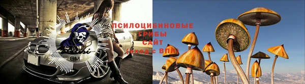 стафф Аркадак