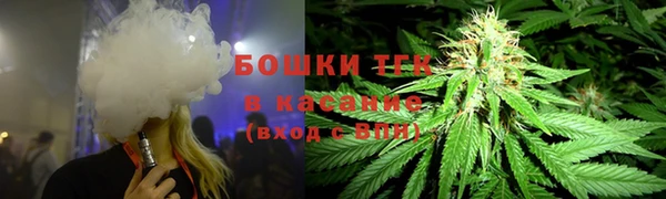 стафф Аркадак