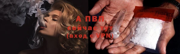 крисы Армянск