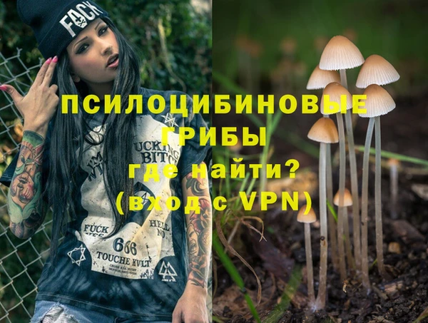 крисы Армянск