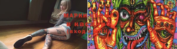 крисы Армянск