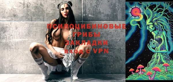 стафф Аркадак