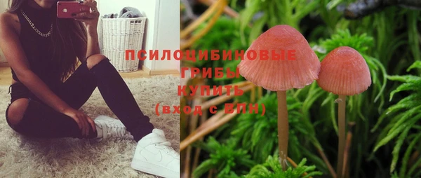 крисы Армянск