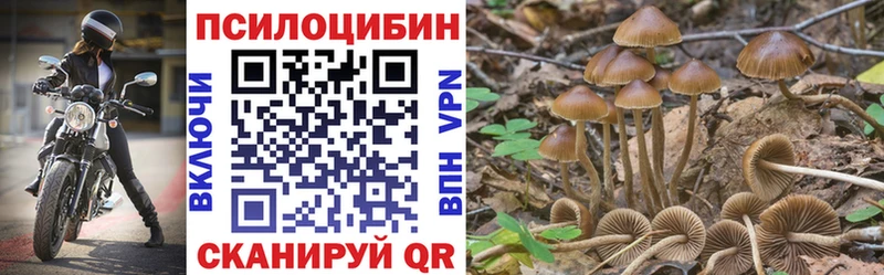 KRAKEN как зайти  купить наркотики цена  Искитим  Галлюциногенные грибы Psilocybine cubensis 